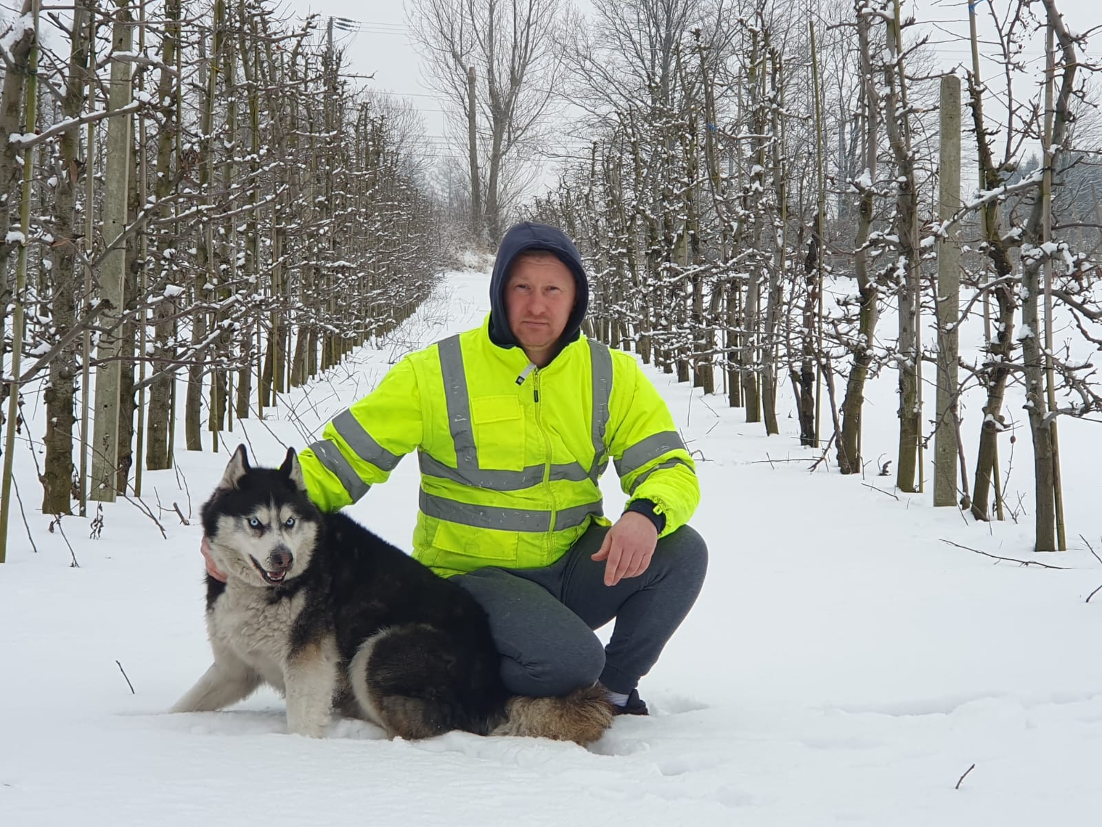 Marcin Popławski w zimowym sadzie z psem husky