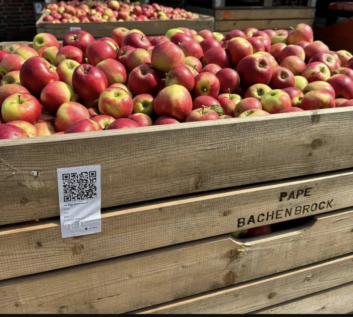 A grower attaching a printed Farmable bin label to a harvest bin of fruit.