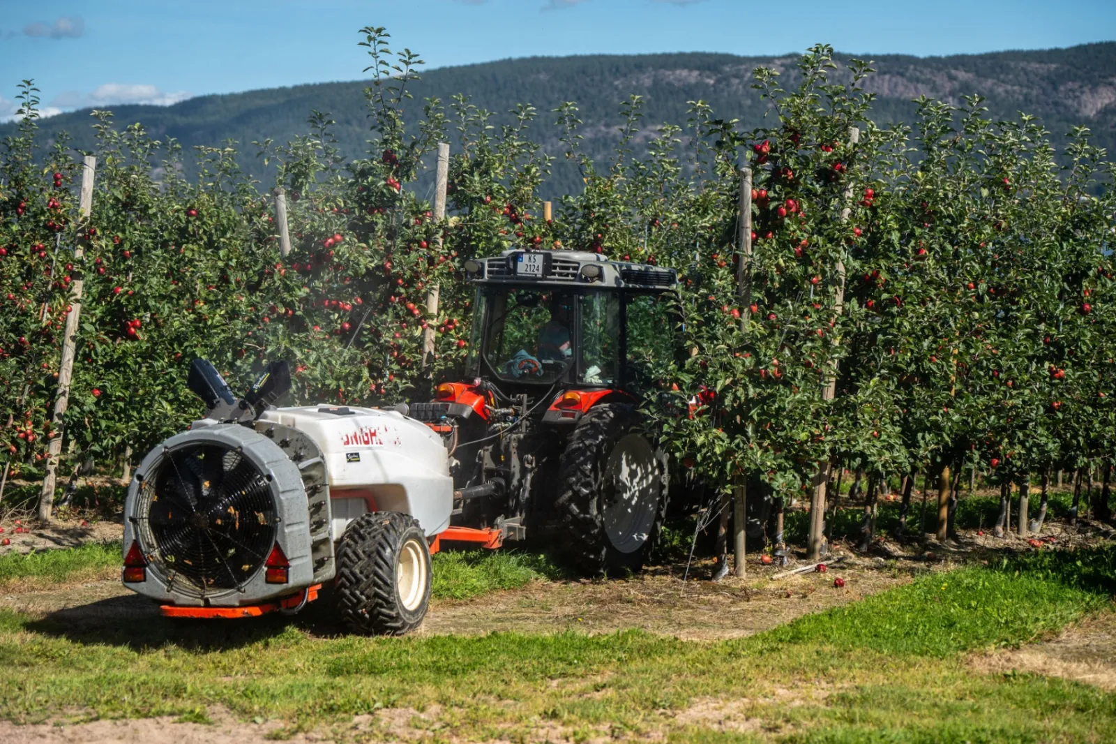 Fruktgården AS - traktor med tåkesprøyte på gården