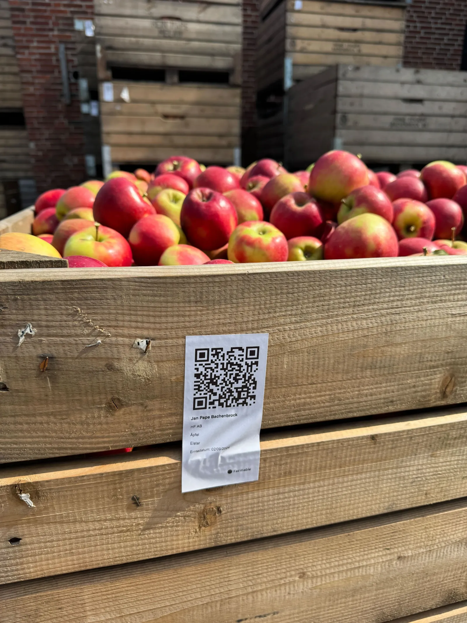 Elstar-Äpfel in einer Holzkiste mit Farmable QR-Ernteetikett bei Jan Pape Bachenbrock