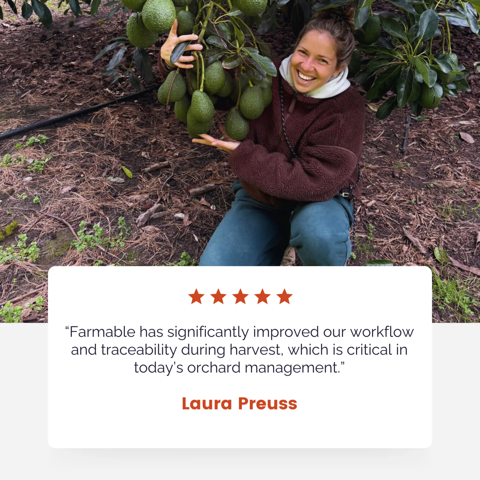 Laura Preuss, Avocado Heaven, New Zealand