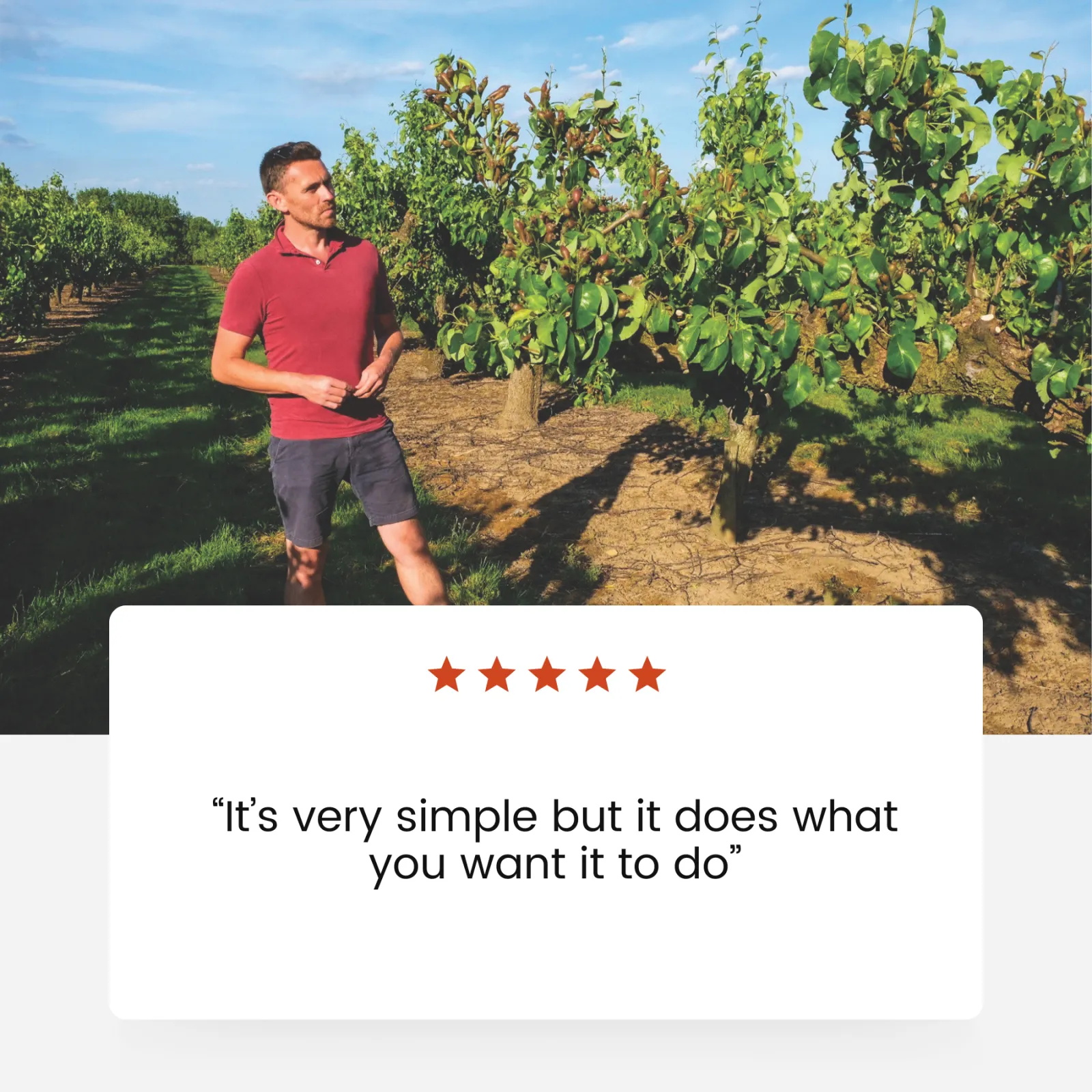 Paul Seeley, helping manage Alan Hudson Ltd, in the orchard at Wisbech, Cambridgeshire
