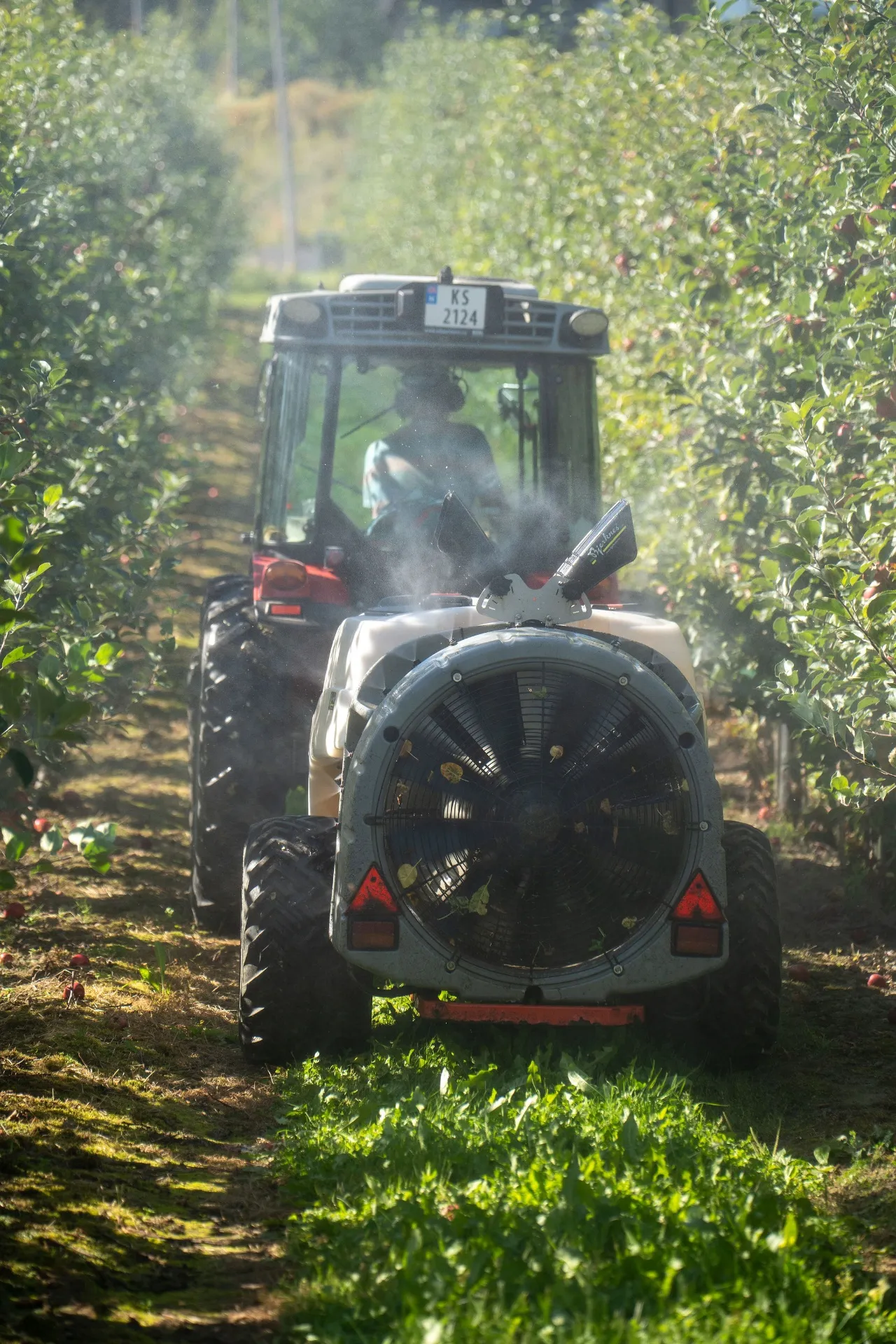 Tractor and air-blast sprayer working between rows in an apple orchard