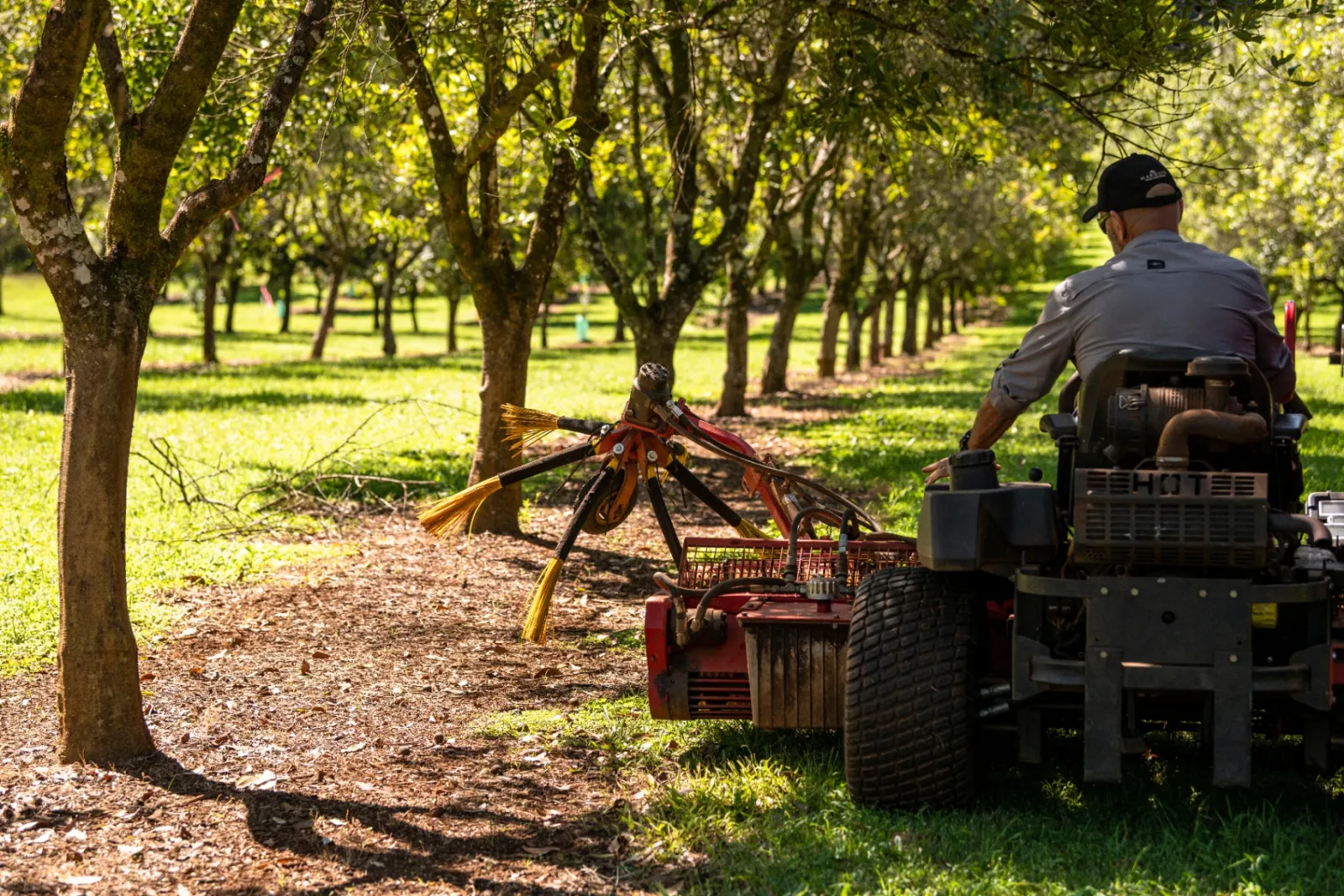 Grower operating a sweeper through the macadamia orchard at Zest Macadamia