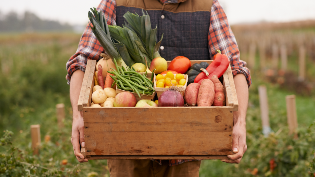 Can Target Employees Wear Leggings  International Society of Precision  Agriculture