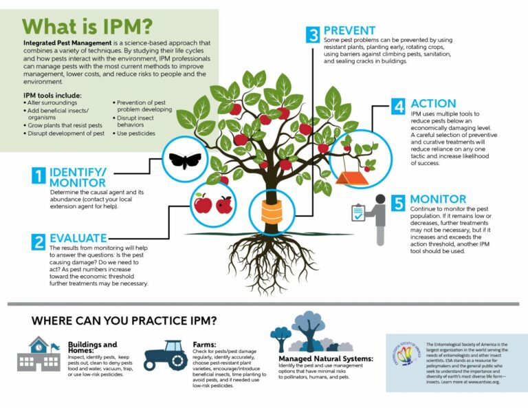 Integrated Pest Management is a science-based approach that combines a variety of techniques. By studying their life cycles and how pests interact with the environment, IPM professionals can manage pests with the most current methods to improve management, lower costs, and reduce risks to people and the environment.