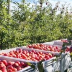 farms eu regulations 4
