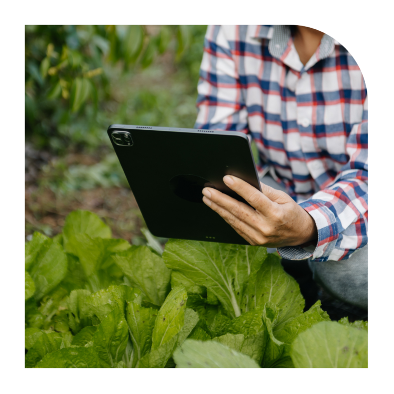 Navarra se une a la digitalización agrícola con REA y Farmable