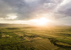 What we learned when we launched FArmable AI