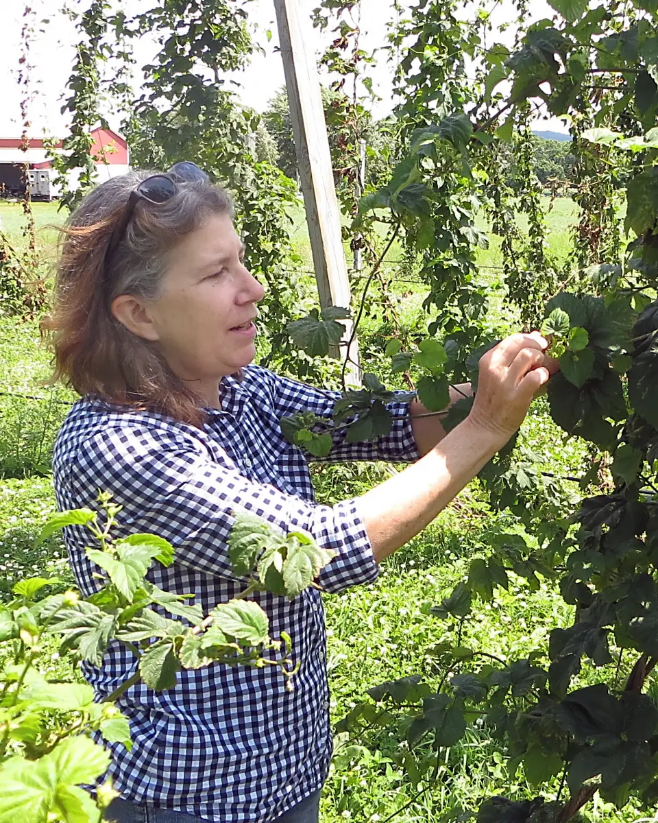 Agronomist specilized in integrated pest management