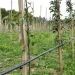Irrigation system - Farmable: Empowering Farmers with Precision Irrigation and Fertigation Tools