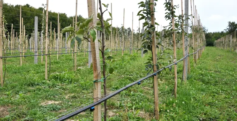 Irrigation system - Farmable: Empowering Farmers with Precision Irrigation and Fertigation Tools