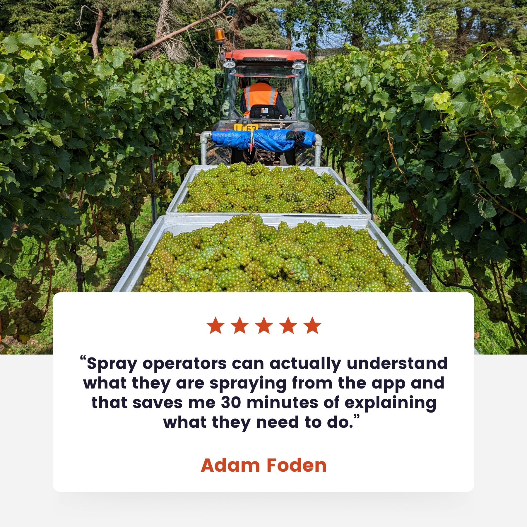 Adam Foden - Farm manager in a vineyard