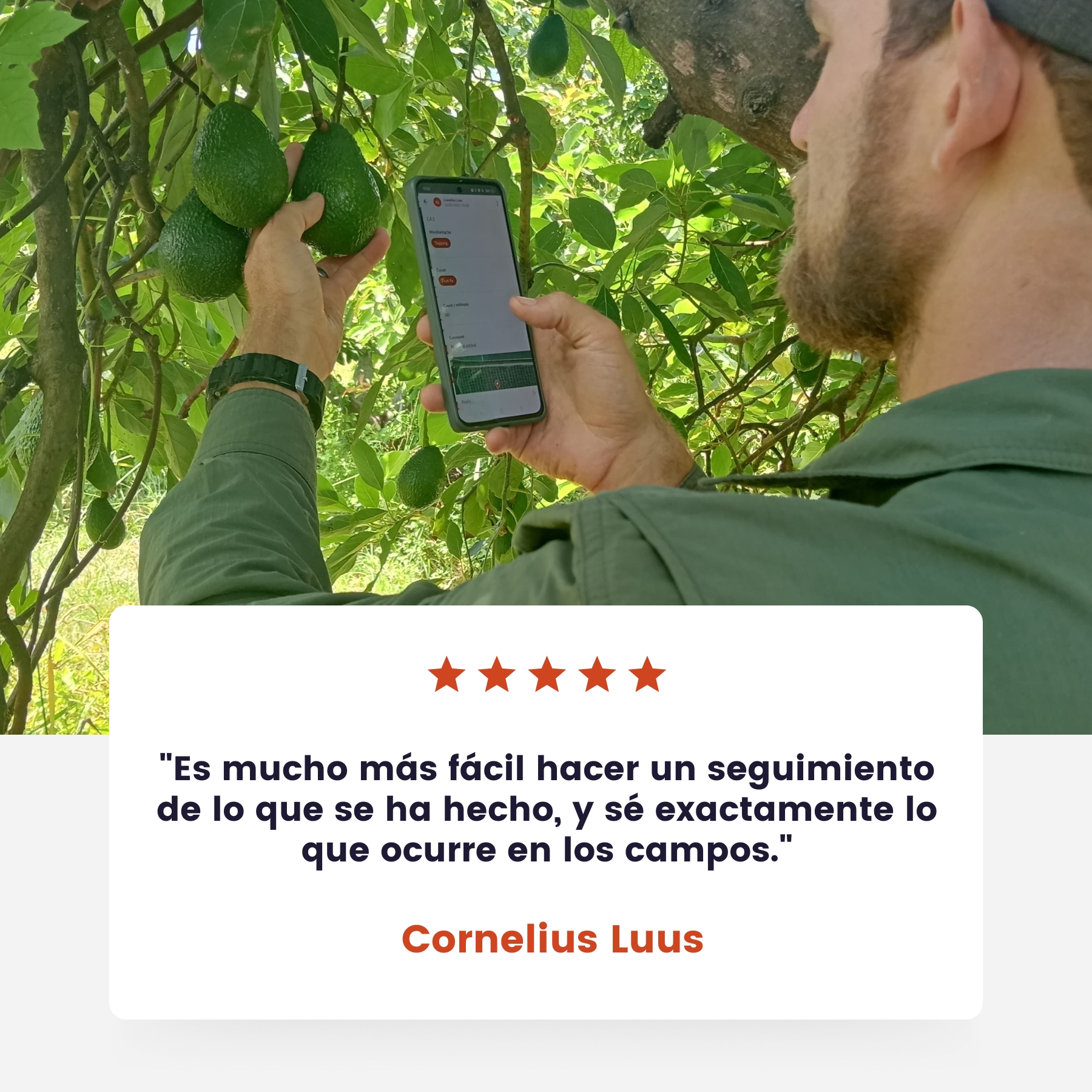 Cornelius Luus - Farmable Avocado & Macadamia Grower, The Swart Familie Trust Farm