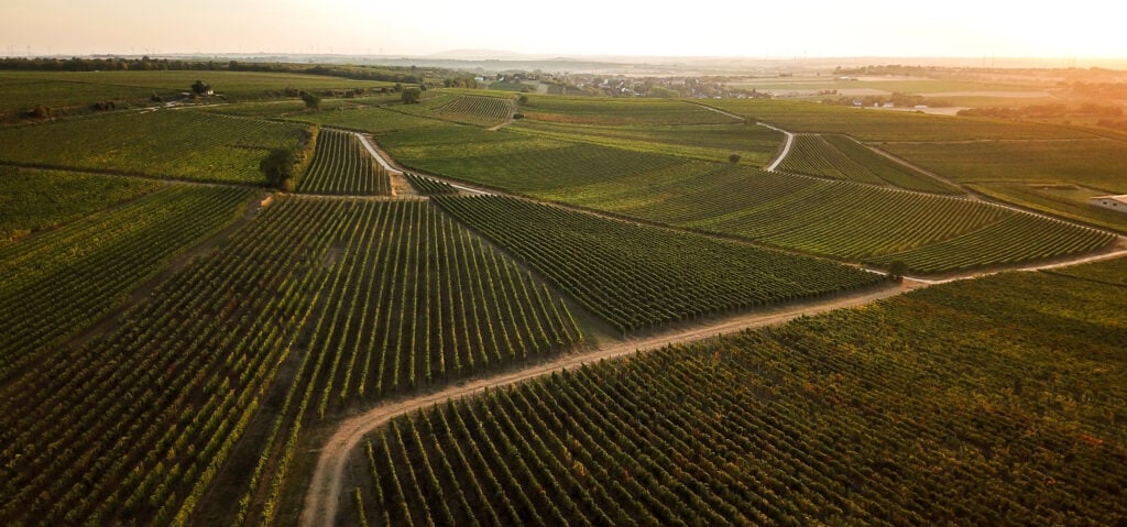 Fields 4