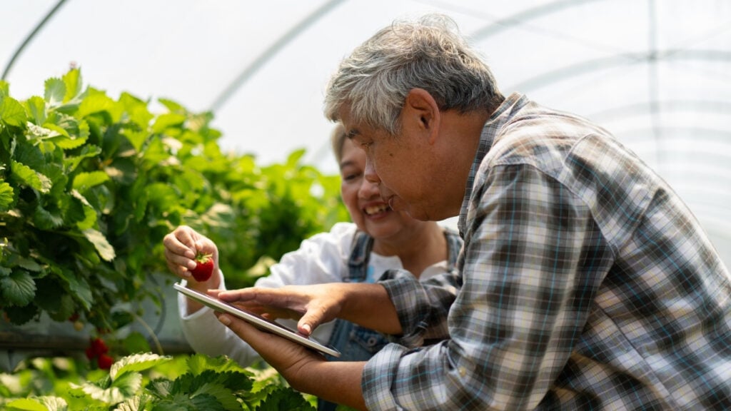 Farmable AI- AI-Driven Agronomy with Farmable: Revolutionizing Crop Management