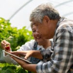 Farmable AI- AI-Driven Agronomy with Farmable: Revolutionizing Crop Management