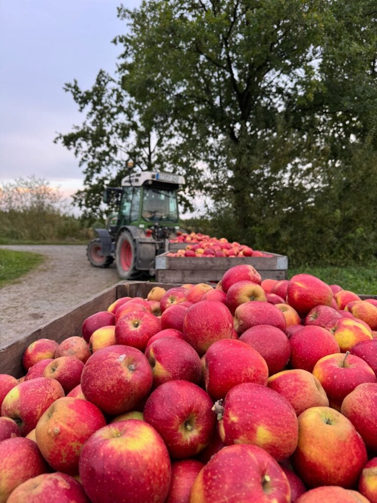 apple harvest management software - Farmable