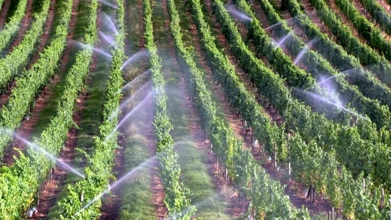 Precision irrigation system - Farmable app