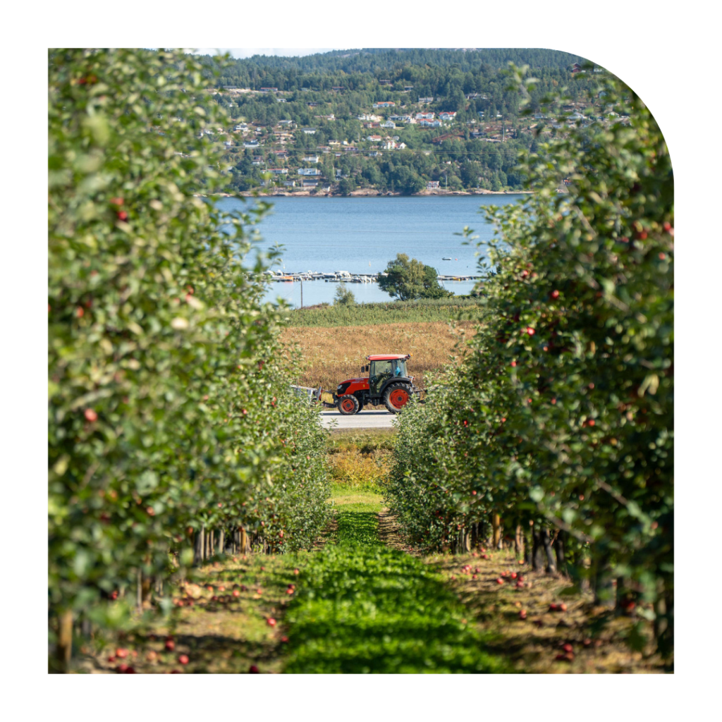 Mercosur se retrasa, pero el reto del agricultor europeo sigue intacto 1 mercosur