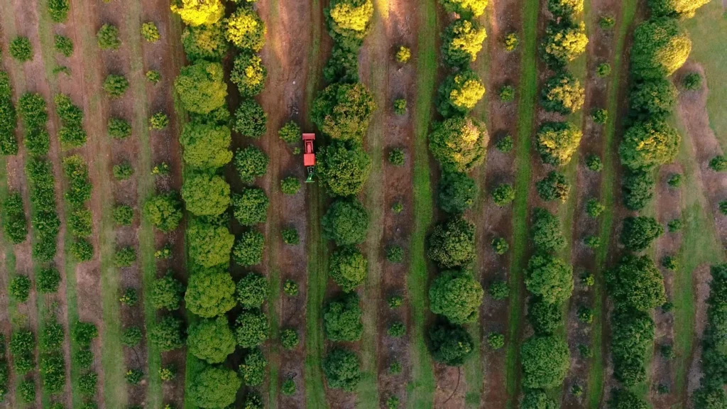 How Tropical Fruit World Manages 500+ Fruit Varieties with Farmable 1 Video Fallback 1 1400x788