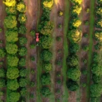 Video Fallback 1 1400x788